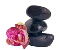 Cairn with Orchid