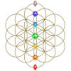 Flower of Life with Chakra Gems